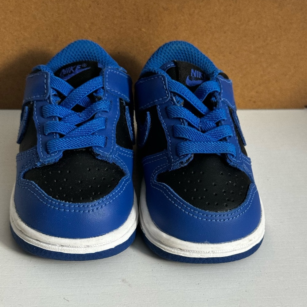 Nike Dunks Blue and Black Sneakers